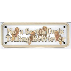 Nova Scotia Duck Tolling Retriever